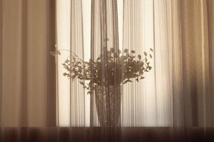 idカードホルダーの依頼ができるストア